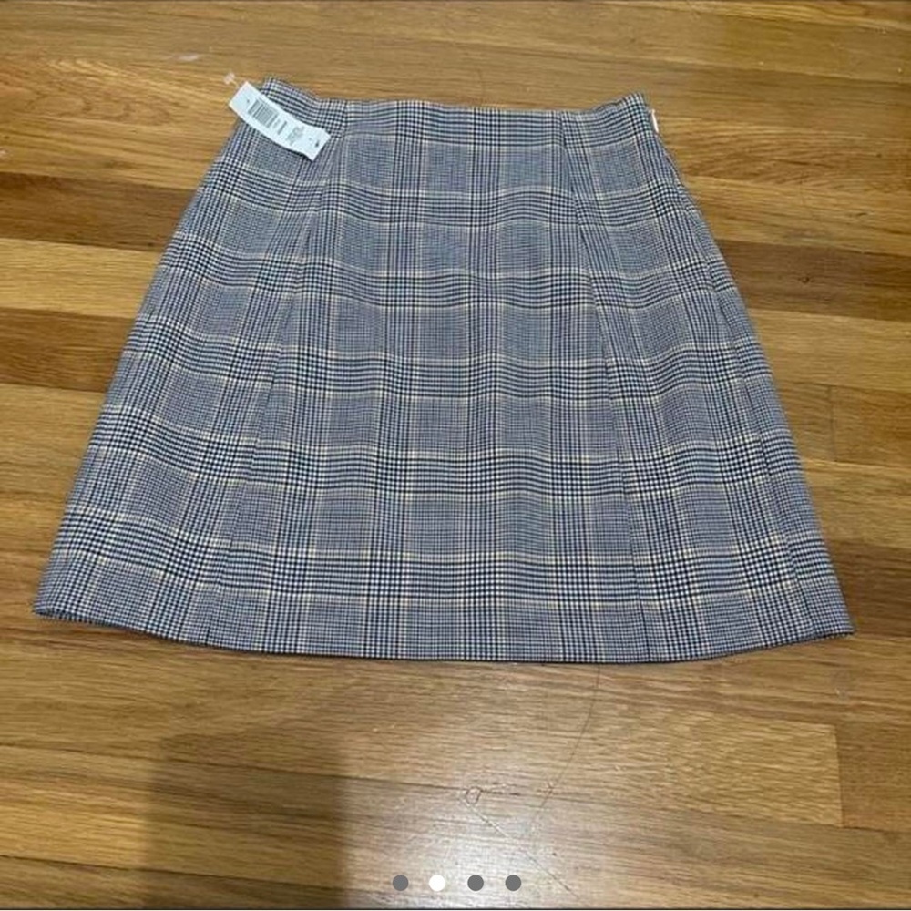 Aritzia skirt
